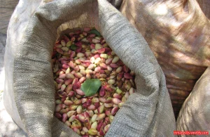 pistachio_bag_natural